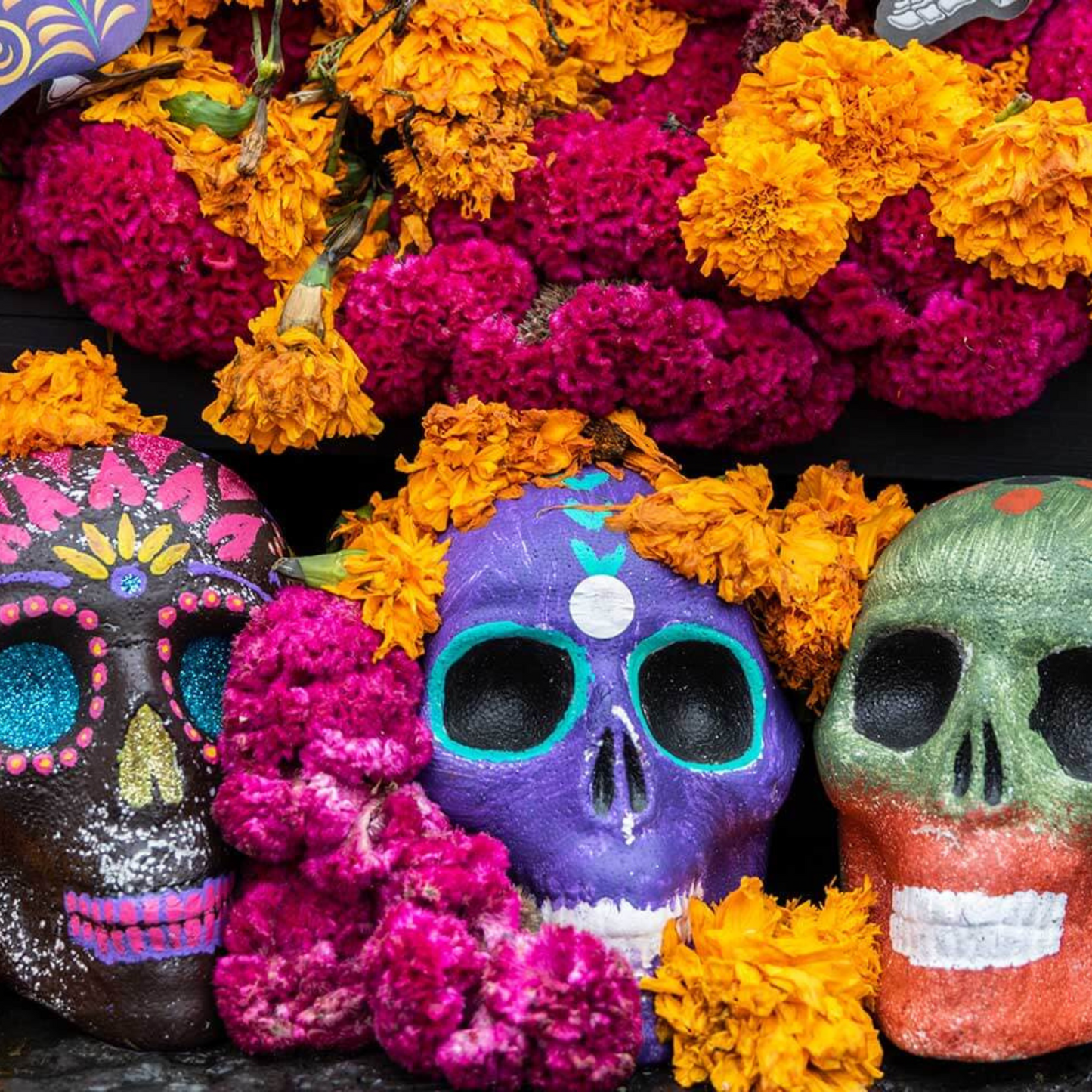 Día de los muertos 2025